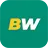 Logo de BetWinner